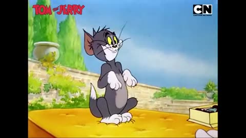 Tom & Jerry 😺🐭 | World’s Best Frenemies! | Catch the eternal chase of Tom & Jerry | Cartoon Network