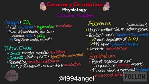 What is the PHYSIOLOGY of the coronary circulation_