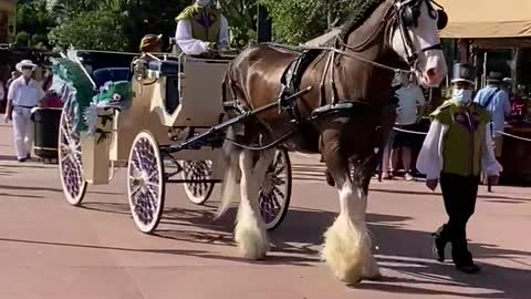 Frozen mini parade at Epcot