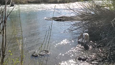 Rico at the falls