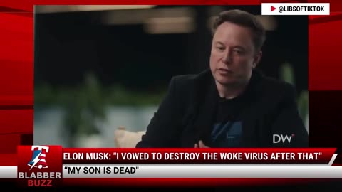 Elon Musk: "I Vowed To Destroy The Woke Virus After That"