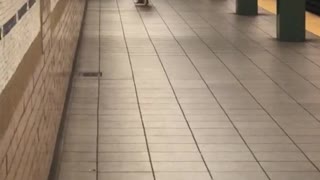 Shirtless long hair guy upside down handstand subway