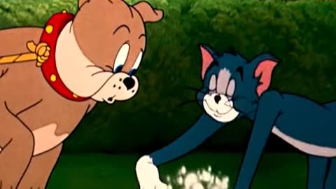 "Non-Stop Chaos: Tom and Jerry’s Craziest Fight Yet! 💥"