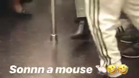 A mouse runs around subway car people scream