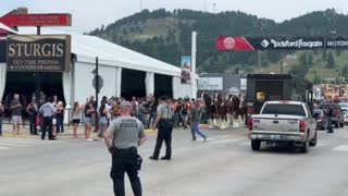 Sturgis 2021 Opening Ceremony Budweiser Clydesdales