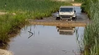 JEEP Gladiator Marsh Driving