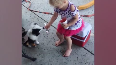 You will be enchanted by these Babies Playing with Animals, Best of videos