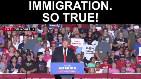 Trump sums up current illegal immigration crisis