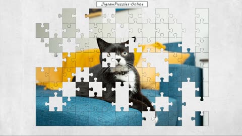 Bicolor Cat Jigsaw Puzzle Online