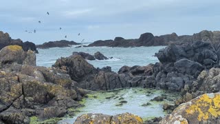 Rugged landscape, Ballintoy Harbour, Northern Ireland