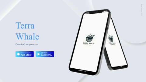 Terra Whales New App: Transforming The Investment Landscape