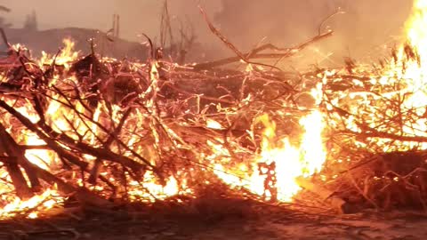 Wildfires in Brazil!