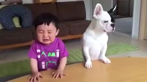 Most funny DOG AND KIDS Videos 2017 Whatsapp funny video..