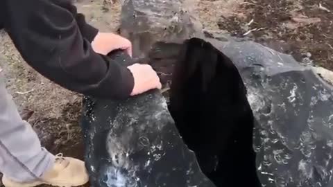 NÃO ACREDITO O QUE ESSE HOMEM ENCONTROU DENTRO DESSA PEDRA VULCANICA