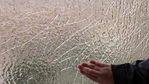 Breaking up Ice on Frozen Window Screen