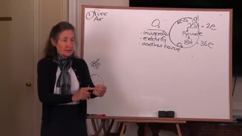 Dr. Barbara O'Neill - Effects of oxygen on the body.