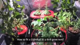 LightRail Grow Light Mover in a Small Grow Tent