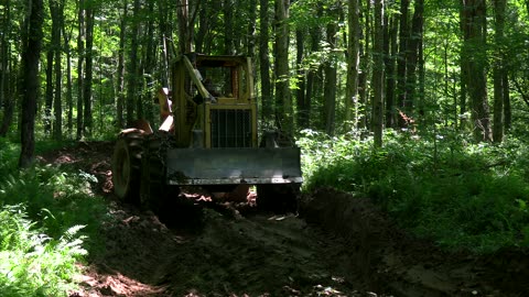 Future Cherry Furniture Cat Skidder Canon Vixia HF G70 Camcorder #heavyequipment #logger