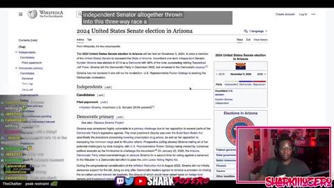 Arizona Ends Kyrsten Sinema's Career