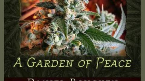 Medical Growing: A Garden of Peace. By: Daniel Boughen