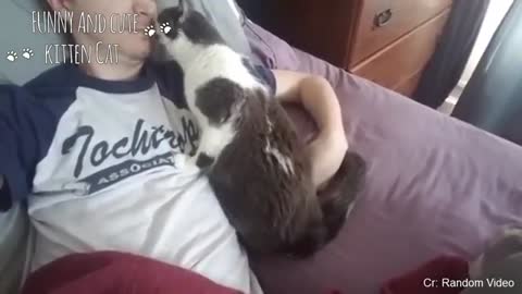 Cats have Special ways to say "I LOVE YOU" - Cute moment cat express love to their owner