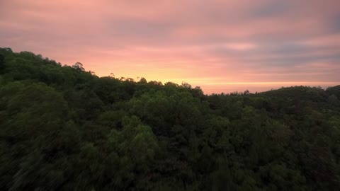 Ocean islands_sunrise_ forest view rays