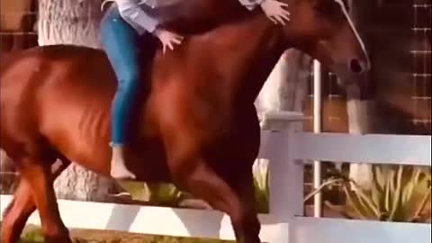 Beautiful girl horse riding