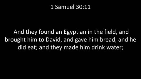 KJV Bible 1st Samuel Chapter 30