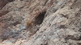 Las Vegas, NV, Gold prospecting, Desert Exploring 2022-08-27 part 10 of 13