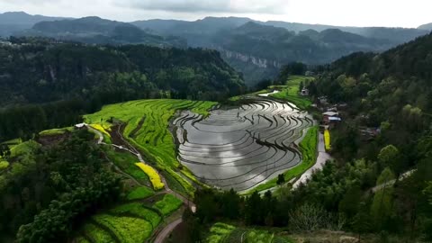 Field terraces from nature, feel the morning on the fields