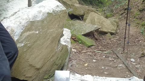 Rock Perfect Landing