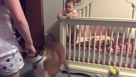 Dog Protects Baby From 'Angry' Mother