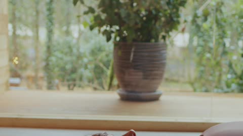 A Woman Meditating