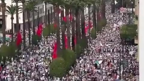 Massive protestfor HAMAS in Morocco. Plently of marocans to deport