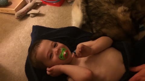Perro ayuda a "secar" a un bebé después del baño