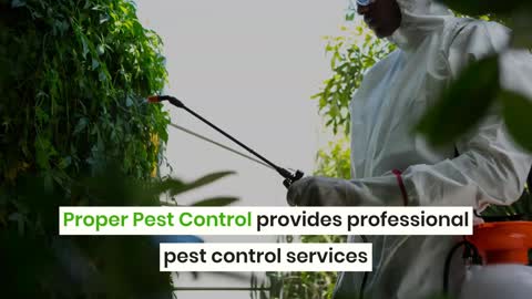 Pest Control Gold Coast