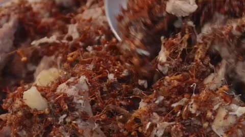 Exotic Cambodian Delicacy: Exploring the Ant Cuisine Experience