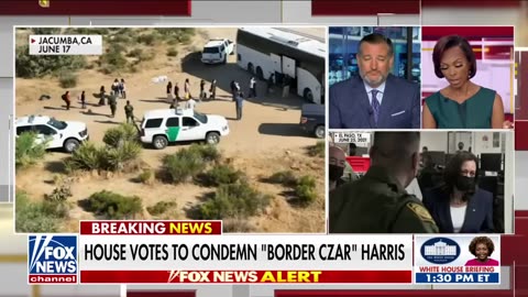Ted Cruz： Kamala Harris sees 11 million illegal immigrants as future Democratic voters