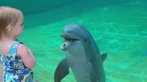 Little girl had a nice chat with the dolphin