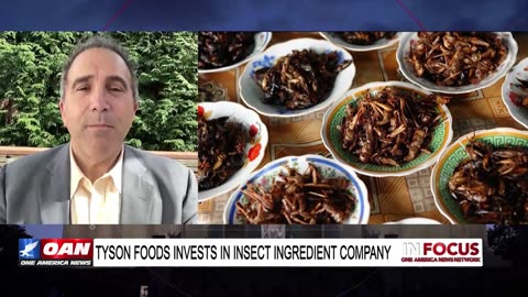 IN FOCUS: Tyson Foods Invests in Insect Ingredient Company with Marc Morano – OAN