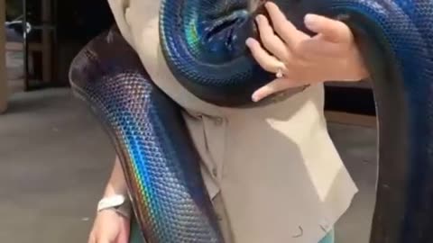 Cobra wrapped around girl's body 😱🤪