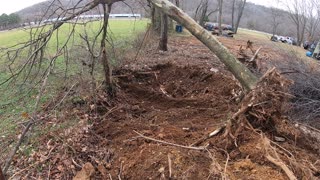 Clearing trees for a semi trailer