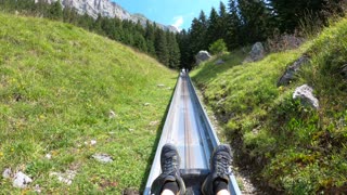 Speeding Through a Beautiful Mountain Coaster in Switzerland