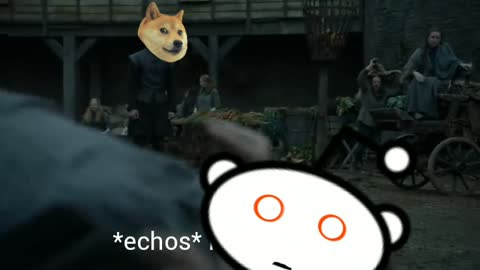HOLD THE DOGE