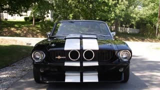 American Muscle Cars | American Muscle Cars -Shelby GT500