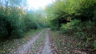 Hiking the Lynchburg Virginia Blackwater Creekside Trail Part 2