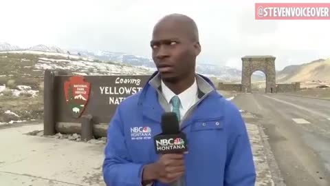 Reporter Freaks Out In Yellowstone National Park 😂