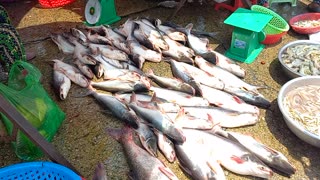 Fish market in Phnom penh