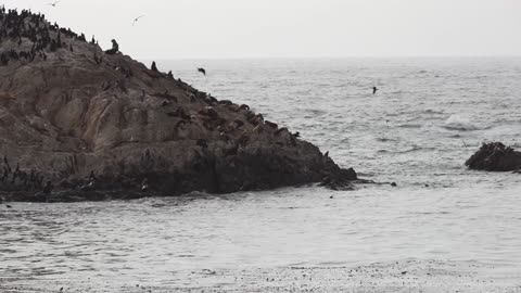 Big Sur and Pebble Beach