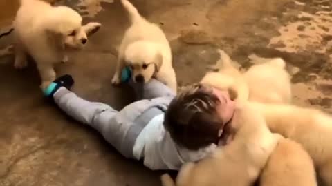 The Little Boy Play With Pets he is cute